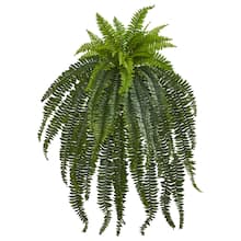 Trees Floor Plants Trees Floor Plants